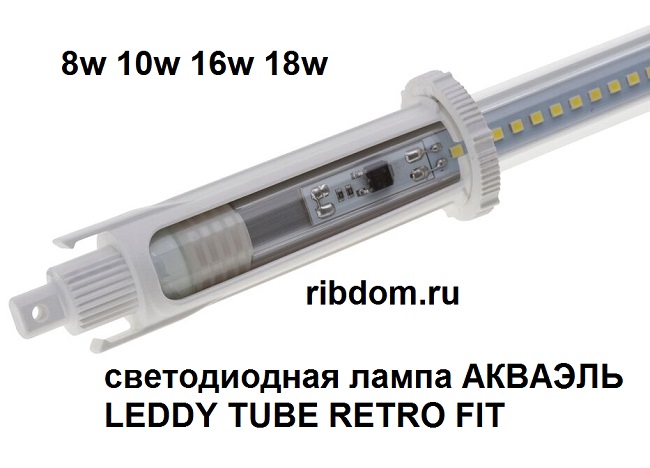 купить ribdom.ru_LEDDY TUBE RETRO FIT